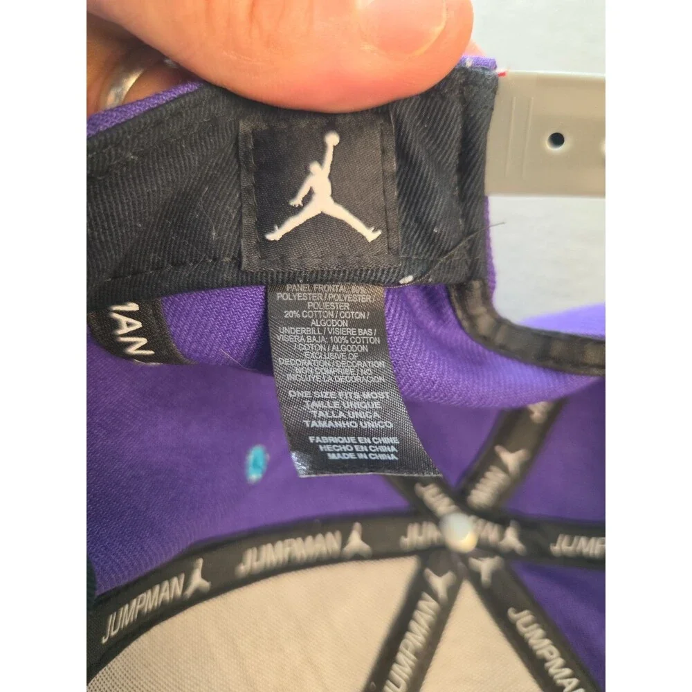 Air Jordan NBA Charlotte Hornets Pro Jumpman Snapback Hat Grey Purple Teal EUC